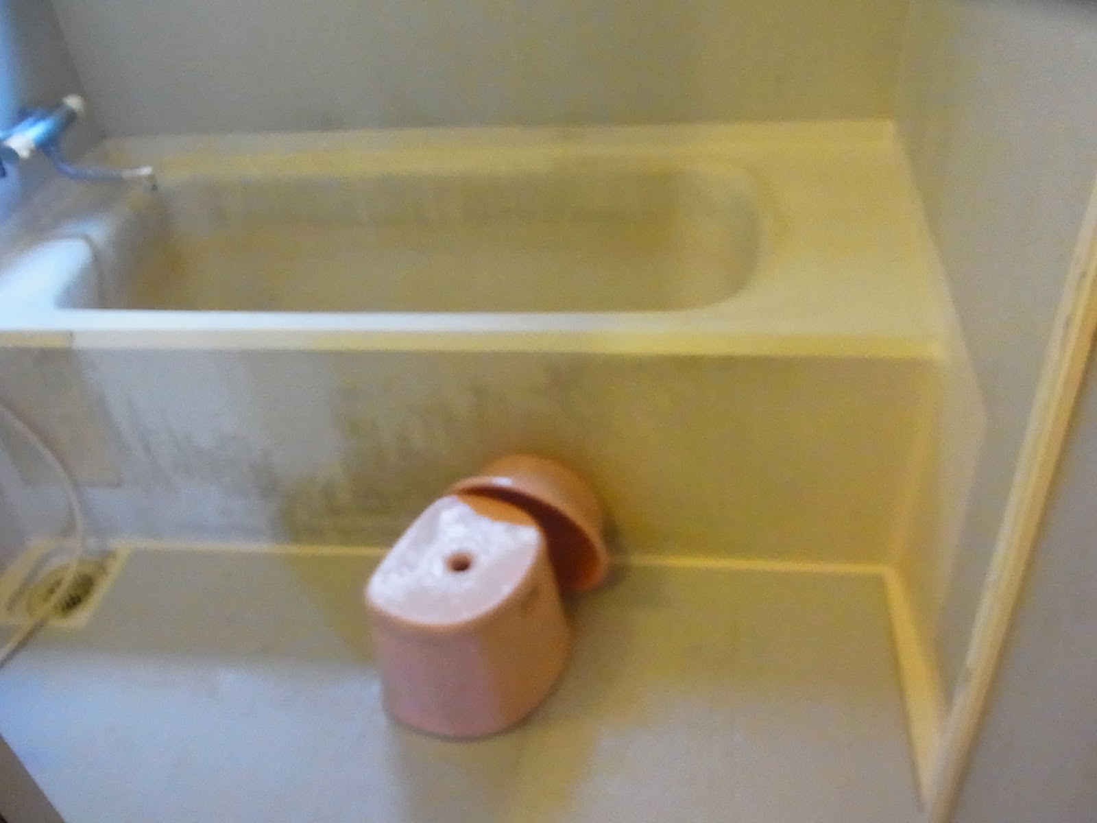 お風呂の湯垢取り サンポール編 汚部屋だらけの家を綺麗に片づけ 掃除するブログ