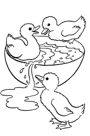 Printable Baby Duck Coloring Pages For Free