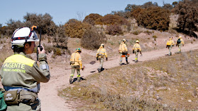 Agentes de Medio Ambiente participan en simulacro de incendio forestal en Huelva