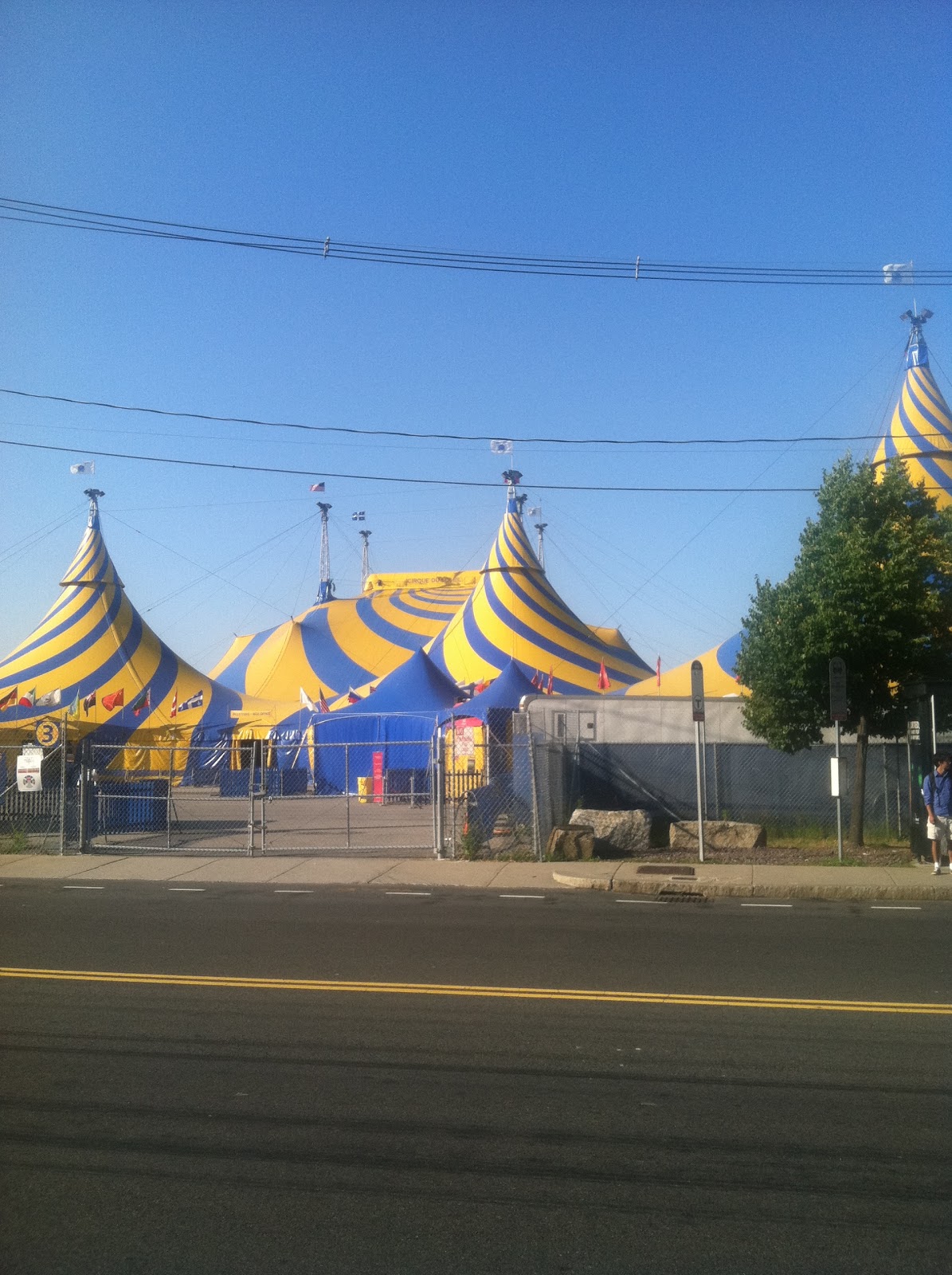 Cirque Du Soleil Totem Tapis Rouge