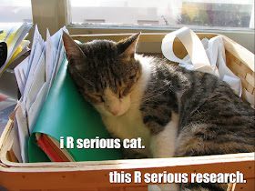 iR serious cat. this R serious research.