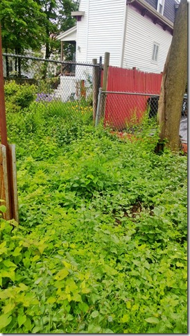 WP_20130524_012