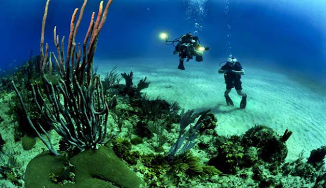 TAMAN LAUT INDAH DI LEPAS PANTAI JAKARTA