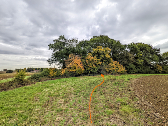 Follow Bramfield footpath 10 through the woodland