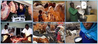 Brief Historical Development and Roles of Animal Production in Nigeria