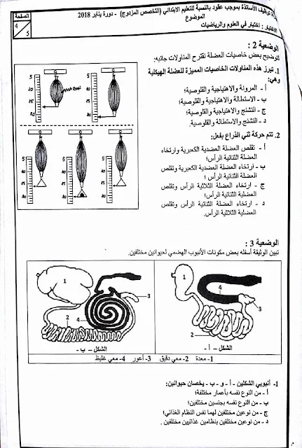 نماذج مباراة التوظيف بموجب عقود: مجال العلوم التعليم الابتدائي 2018