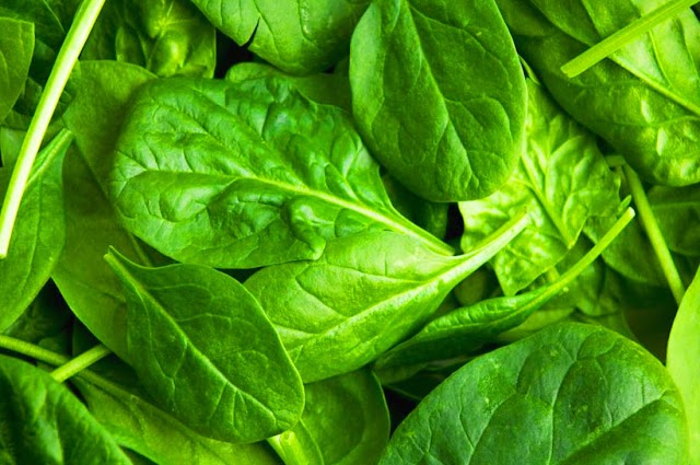 How To Cook Spinach Steps -HealthStation4U