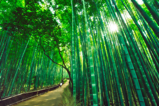 Arashiyama