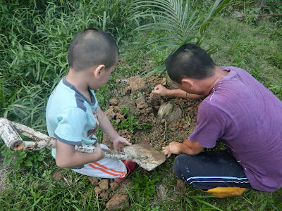 Ajar anak berkebun tanam pokok kelapa mudah dan cepat