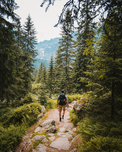 Picture of a male hiker walking on trails