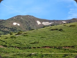 DSC02542