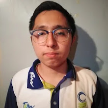Mi foto