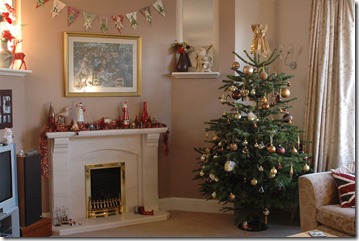 13.12.11 Christmas 012