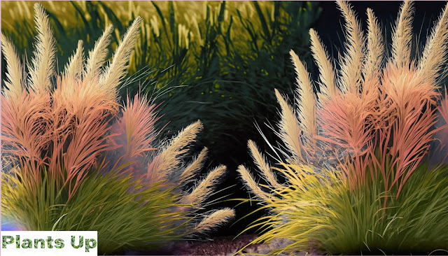 Ornamental Grasses and Grass-Like Plants