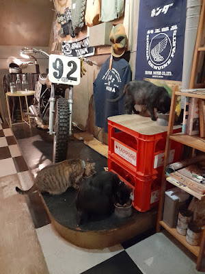 【台中貓咪咖啡廳】KANAU coffee 卡那屋｜深夜咖啡廳、茶、甜點　貓咪用餐