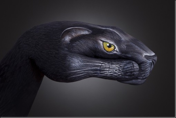 Panther1-507x340