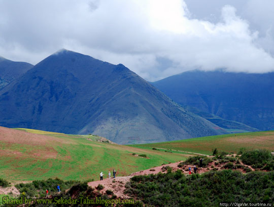 2 Ditemukan Sawah Terasiring Peninggalan Suku Inca