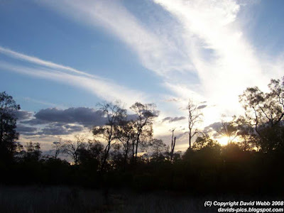 Sunset in the Australian Bush - Clouds, Sky, Trees and Sun