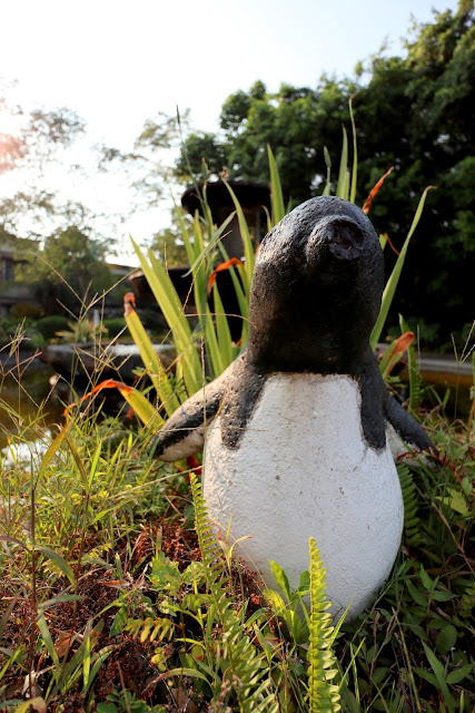 Canon EOS M6 + Canon EF-M 11-22mm f/4-5.6 IS STM試拍照