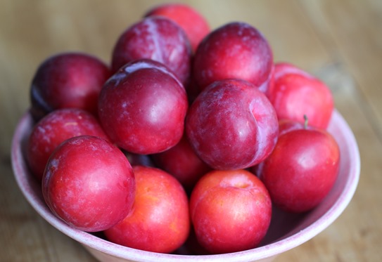Godaste plommonmarmeladen 001