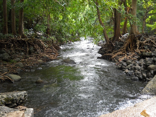 DSCN4090_2