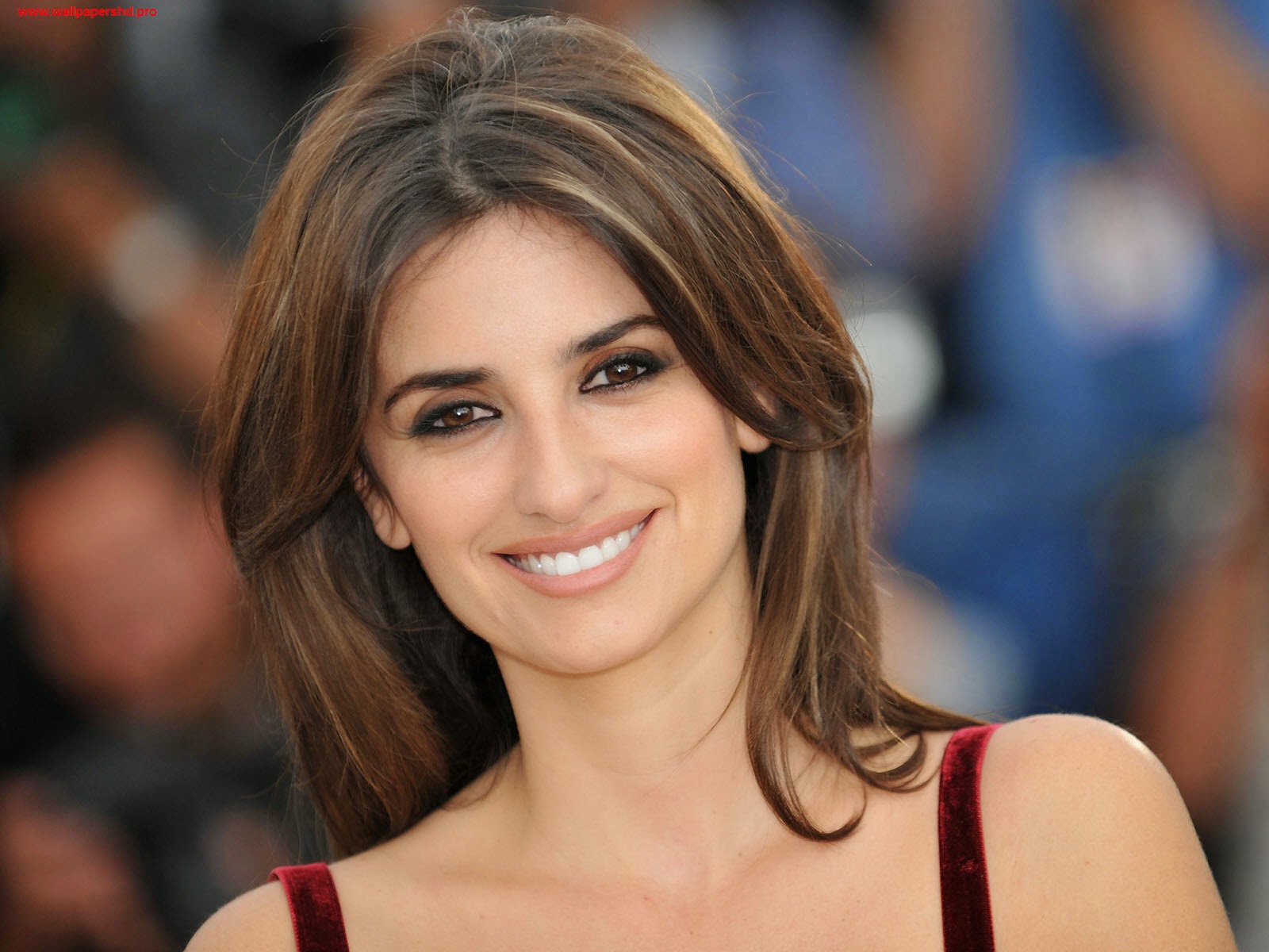 Penelope Cruz Hyper Star Hd Wallpapers