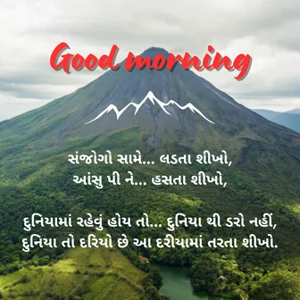 good morning status gujarati, good morning sms in gujarati, good morning quotes in gujarati text, gujarati good morning msg, gujarati good morning sms, good morning in gujarati text, gujarati good morning message, morning message in gujarati, good morning text gujarati, morning quotes gujarati, good morning gujarati message, good morning thoughts in gujarati, gm msg in gujarati, good morning motivational quotes in gujarati, good morning status in gujarati, good morning message gujarati ma