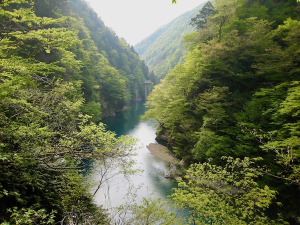 展望台からの眺め