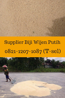 Jual Biji Wijen Putih, Jual Wijen Putih, Harga Wijen 2017, Harga Wijen 2018, Harga Wijen 2019, Harga Wijen 2020,Eksportir Wijen Putih, Supplier Wijen Putih, Manfaat Wijen Putih, Khasiat Wijen Putih, Harga Wijen 2018, Jual Wijen Putih Lokal, Jual biji Wijen Putih Lokal, Jual Wijen Skala Besar, Produsen Wijen Putih, Jual Wijen Putih Murah, Wijen Murah, Wijen Putih Lokal, Wijen Putih, Biji Wijen Putih Lokal