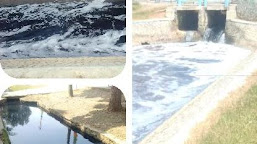 Saluran Air Irigasi Di Desa Tanjungrasa Kidul Tercemar Limbah Pabrik