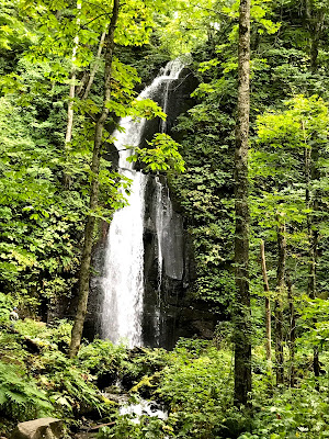 【北に吉方位旅行】奥入瀬渓流と源泉湧き流しの蔦温泉