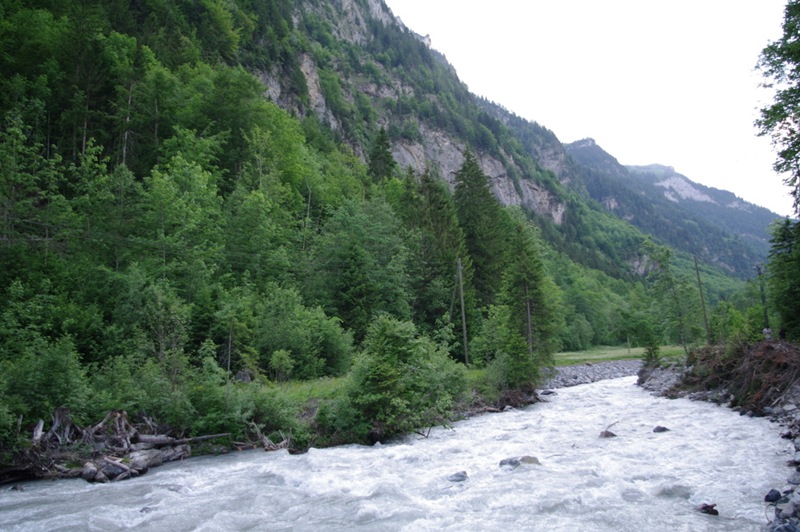 IMGP4684
