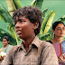 Vaazhai