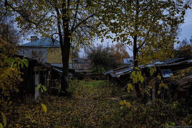 Деревья растут среди деревянных сараев