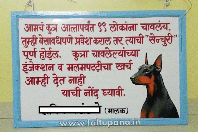 Beaware of Pune Dogs