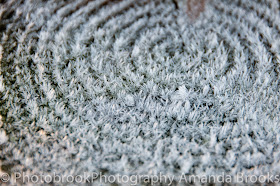 Frost patterns on wood