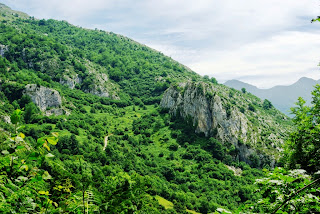 Vista de Cueva Rubia