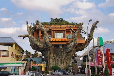 Unusual Restaurants in the World