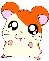 Hamtaro (27)