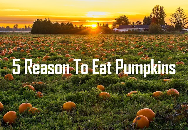 5 Reasons to Eat Pumpkins-Health benefits