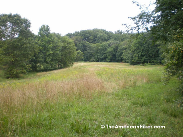 The central meadow at Woodlawn Wildife Preserve. From this point trails branch off to the northwest and southwest.