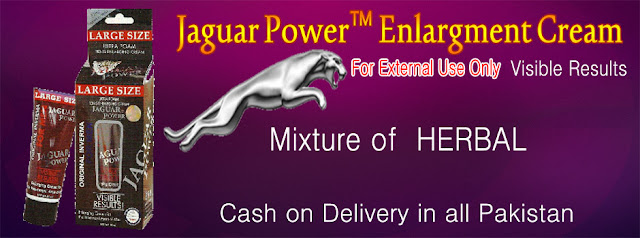 jaguar-power-enlargement