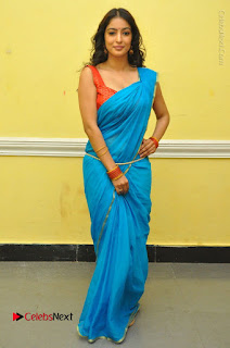 Telugu Actress Vaibhavi Stills in Blue Saree at Www.Meena Bazaar Movie Opening  0102.JPG