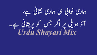Hamari nawabi | Urdu shayari | 2line poetry