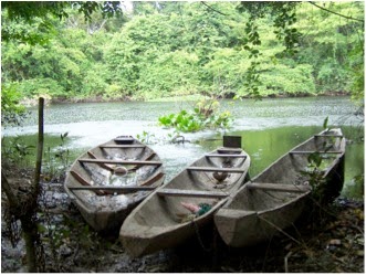 dugout canoes in Baures region, upper Amazon, Bolivia