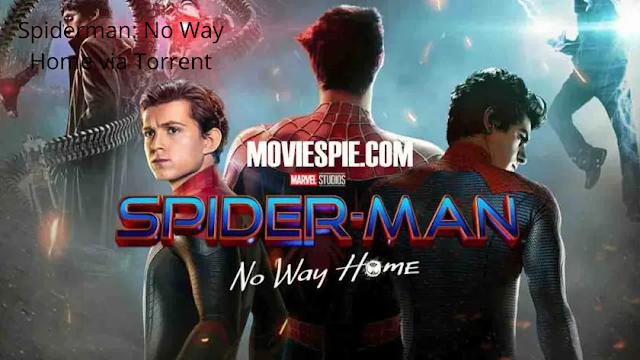 Spider Man No Way Home torrent