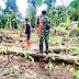 Babinsa Koramil 01 Sikabaluan melaksanakan pengecekan, pemeliharaan tanaman keladi warga binaan, serta memberikan edukasi di Dusun Pokai Desa Sikabaluan Kec Siberut Utara Kab Kep Mentawai 