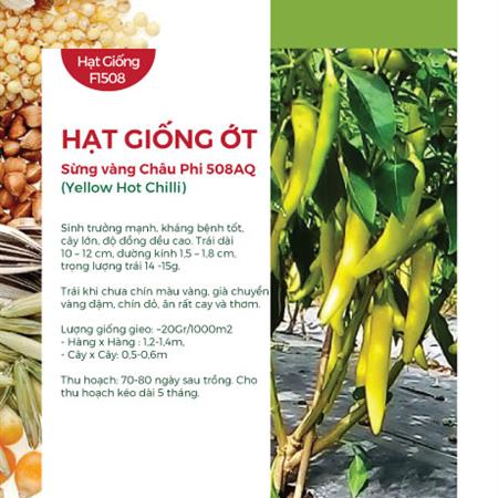 Hạt giống Ớt sừng vàng Châu Phi 508AQ