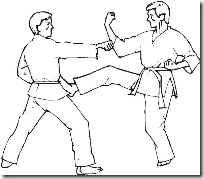 Artes-Marciales-16