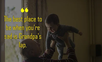 Grandparents quotes - Quotes about Grandparents